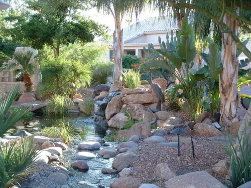 Unique vegetation creates contemporary landscape design by Phoenix Landscape Contractor, The Pond Gnome