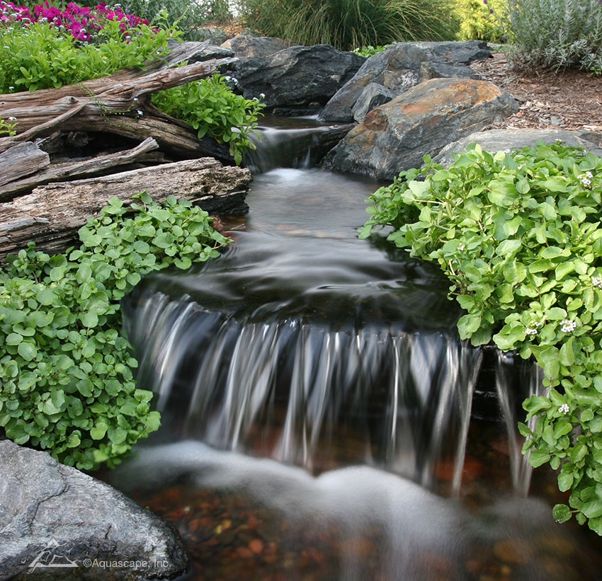 7 Tips to Keep Pond Water Clean - Aquascape, Inc.