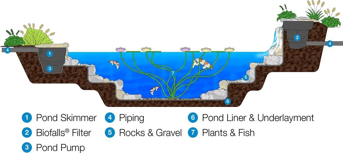 Ecosytem Pond - How it Works