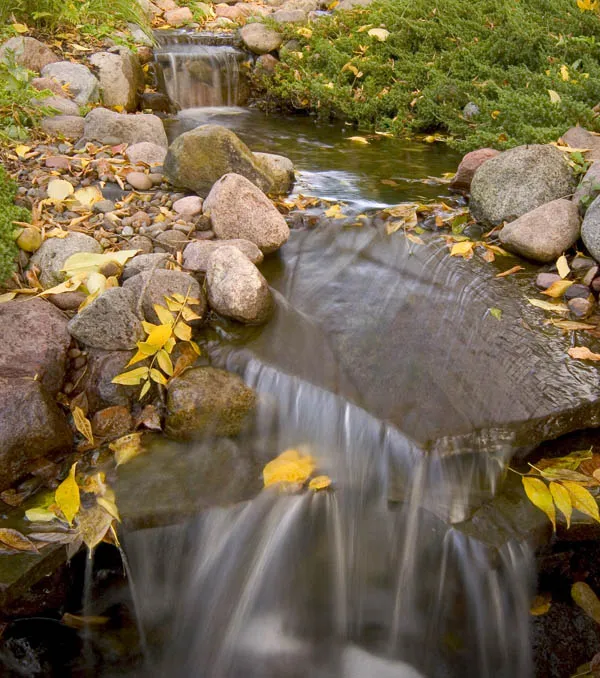 Keep Your Pond Free of Leaves