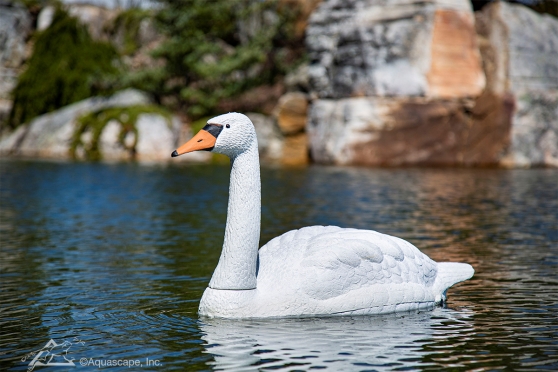 fake swan