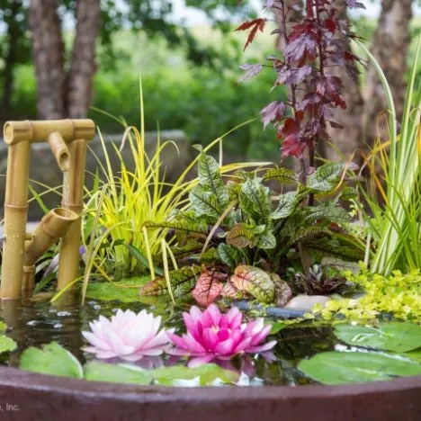 planted Fountain Bowl