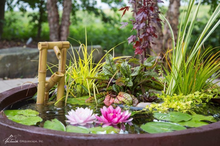 planted Fountain Bowl