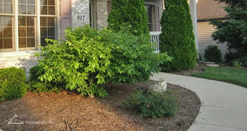 Fountain Rocks - Before