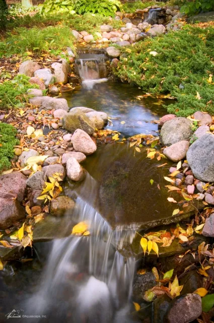 How to Care for Your Pond During Fall