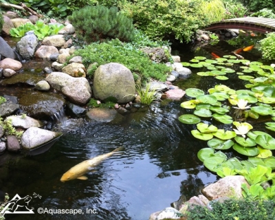 Aquascape Summer Pond