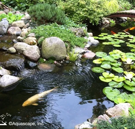 Aquascape Summer Pond