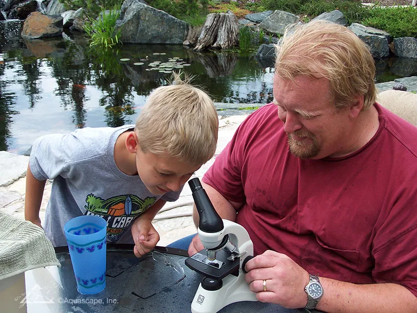 Ponds can provide endless amounts of education for children.