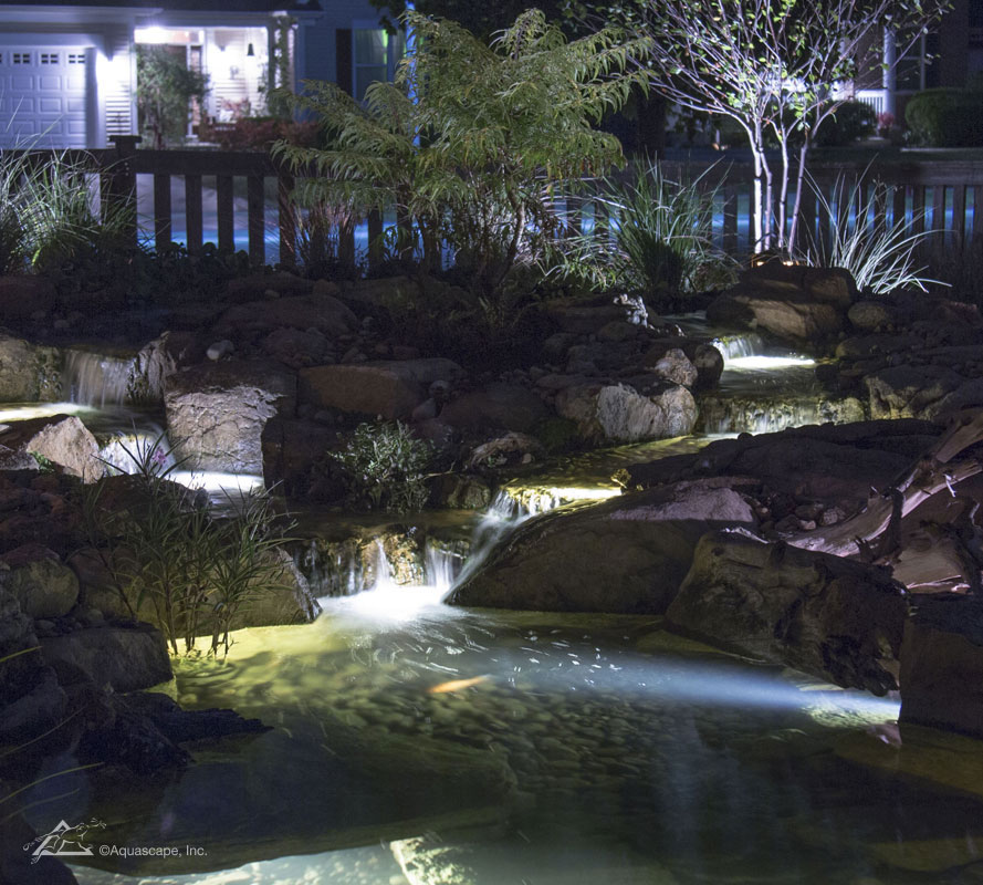 Pond Lights and Outdoor Lighting