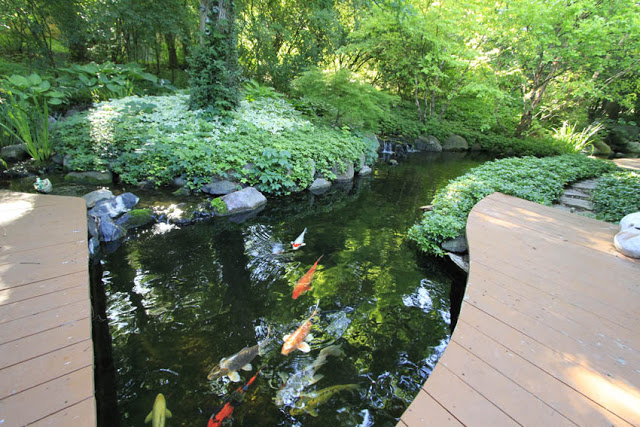 This deck wraps around the house and leads to a stone path that follows the stream along the back of the house. 