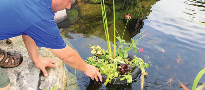 Floating Plant Island - Aquascape