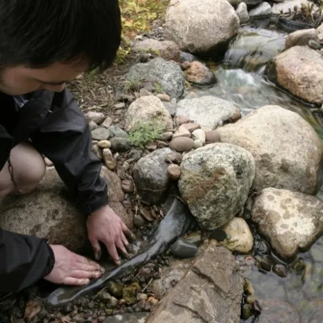 How to find a pond leak