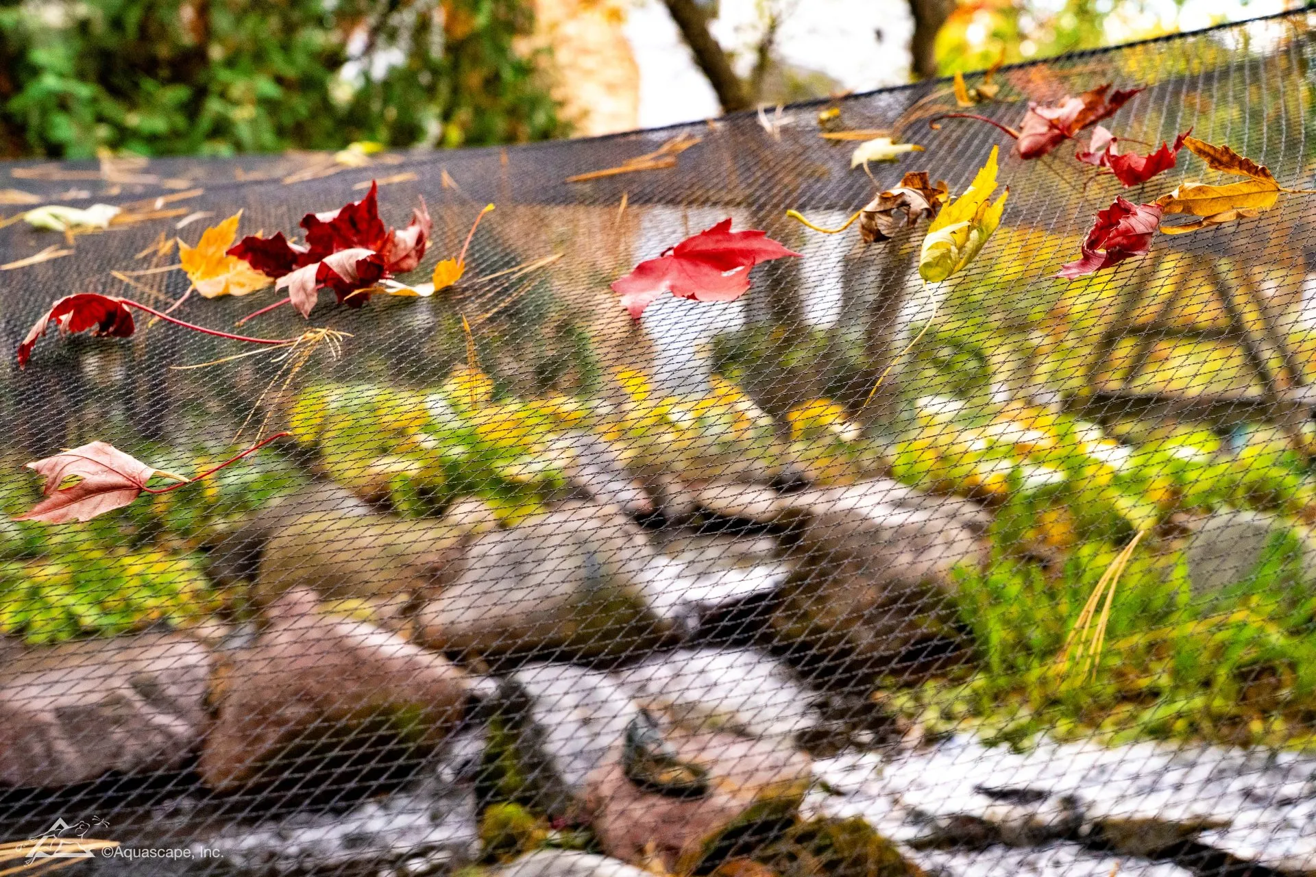 fall pond netting to avoid pond sludge