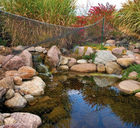 Pond Maintenance and Seasonal Pond Maintenance Tips