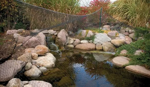 Aquascape Protective Pond Netting - over pond