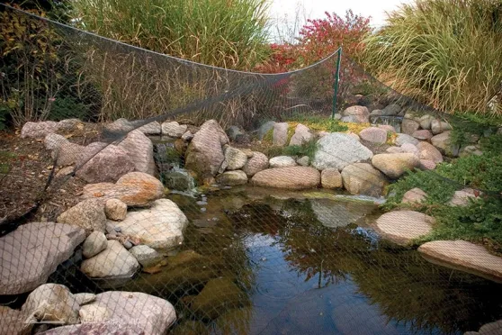 Aquascape Protective Pond Netting - over pond