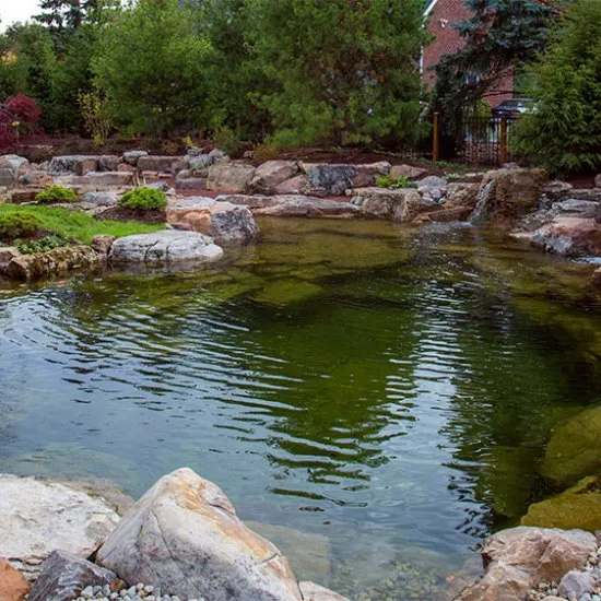 19x24 Rec Pond