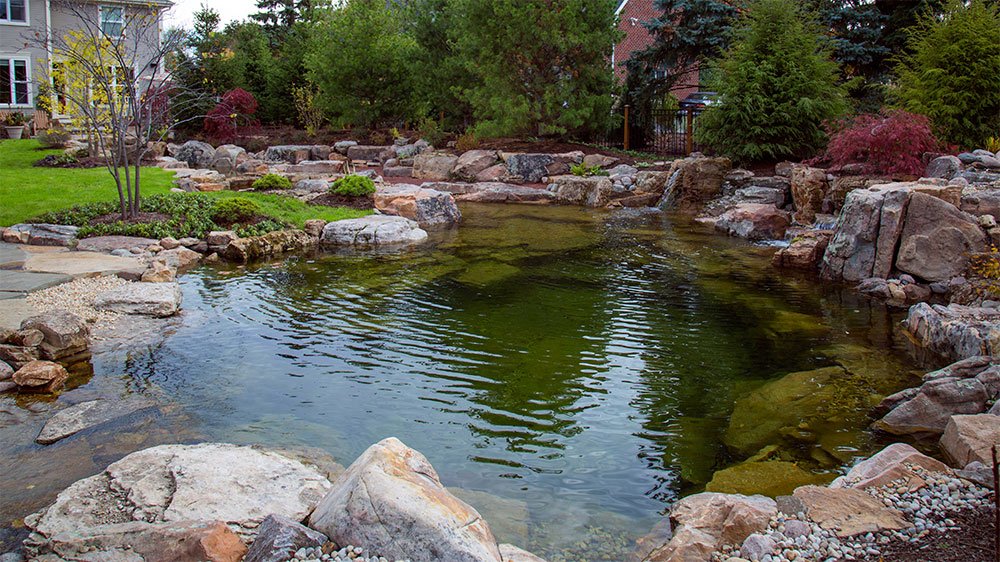 rec pond 53074 19x24 19x24 Rec Pond