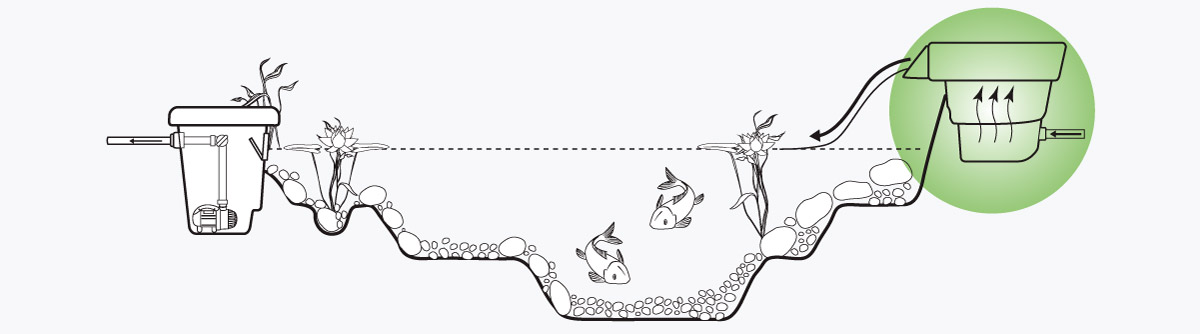 The Role of a Biological Pond Filter