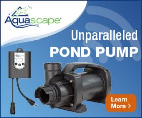 Aquascape SLD Adjustable Flow Pond Pumps