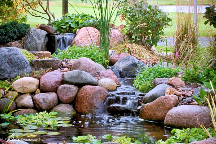 Small backyard pond with waterfall