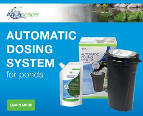 Automatic Dosing System for Ponds - Water Treatments