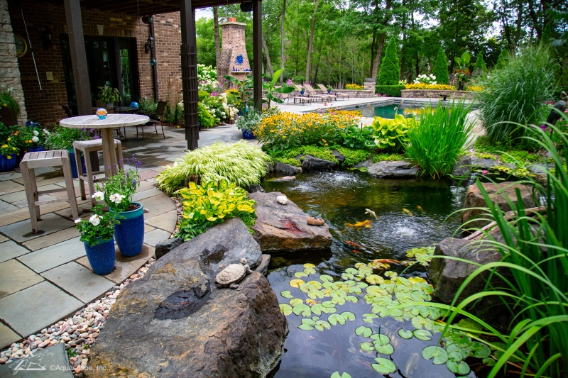 Pond Plantings - Marginals and Waterlilies