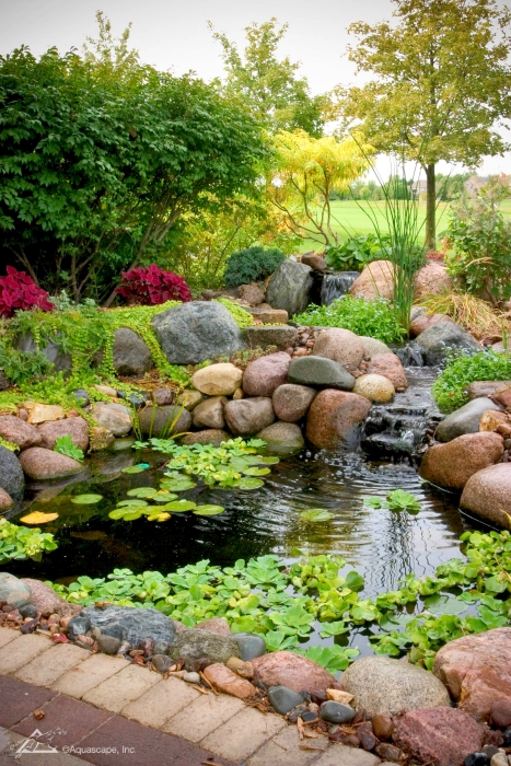 small fish pond design ideas