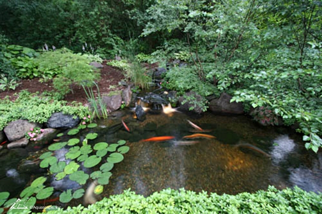 Gravel on the bottom of an ecosystem koi pond