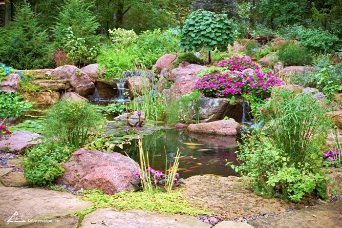 Backyard Garden Pond by Aquascape