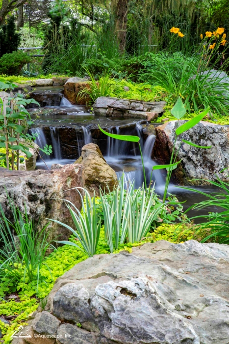 Waterfall and Pond with Aquatic Plantings