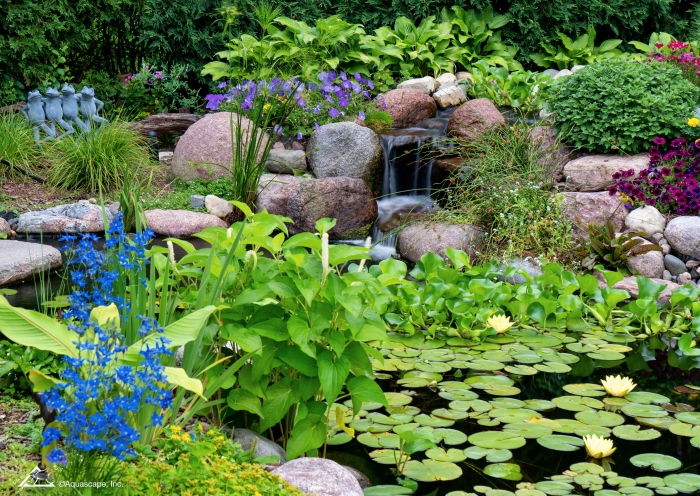 Ecosystem Backyard Pond with Pond Plants