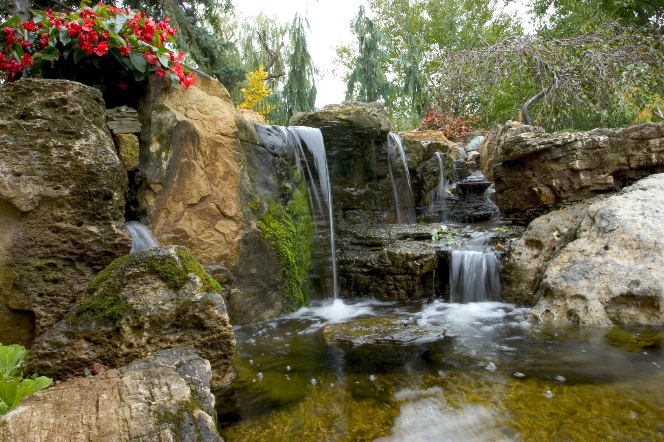Waterfall in Brian Helfrich Backyard