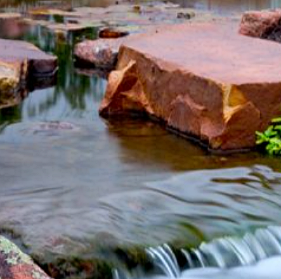 Pond Edging Ideas