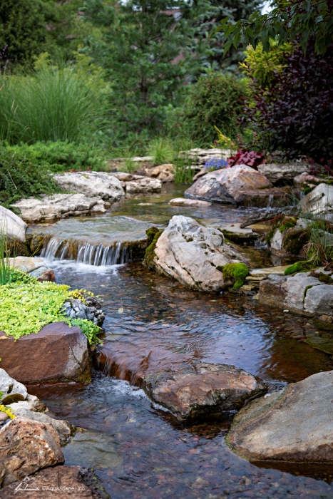 Backyard waterfall and stream