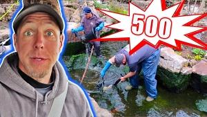 spring pond cleaning