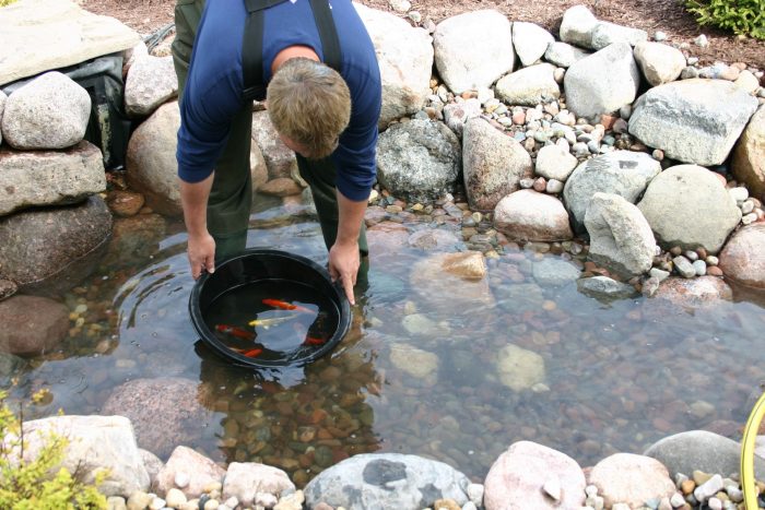 Pond Cleanout in the Spring