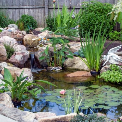 Planted Pond - Aquascape ecosystem water garden