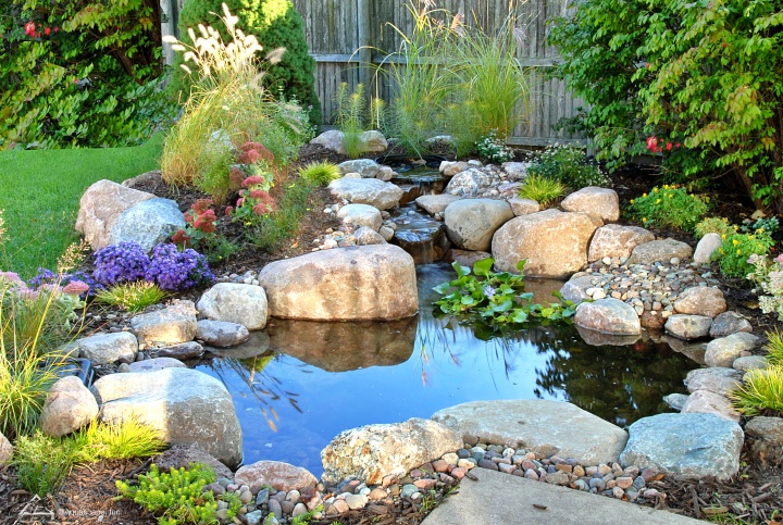 small backyard pond