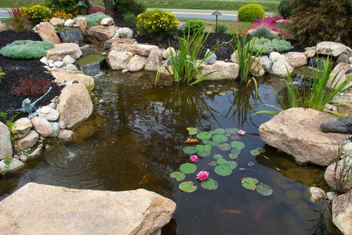 A beautiful pond with twin waterfalls transforms a front yard.