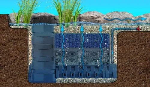 base plant Base  APTUS (USA)