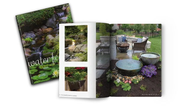 water gardens, water features dream book