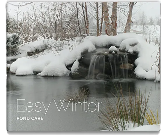 easy winter pond care