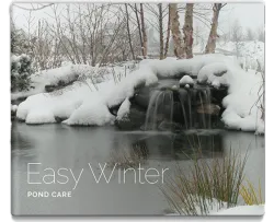 Easy Winter Care eBook