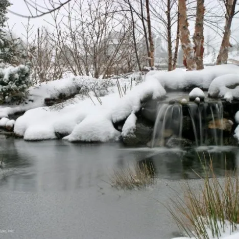 Winter pond